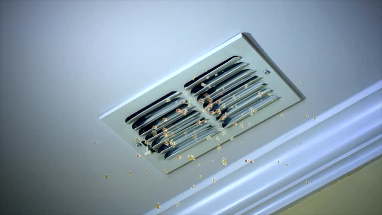 Best Emergency Air Duct Cleaning  in Williston, ND