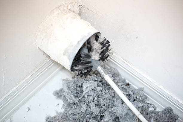 Air Duct Mold Removal in ND